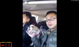 恶心的视频,网络暴力与道德沦丧的警示录