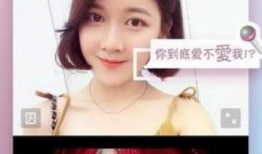 视频换脸软件,瞬间变身，体验虚拟现实新境界