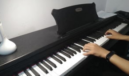钢琴演奏视频,钢琴演奏视频魅力解析