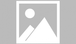 航海王动漫,梦想启航，勇闯无尽海域