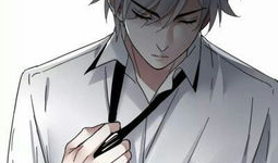 动漫男生高清,高清男生形象解析